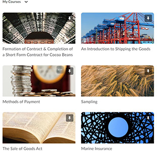 Example courses